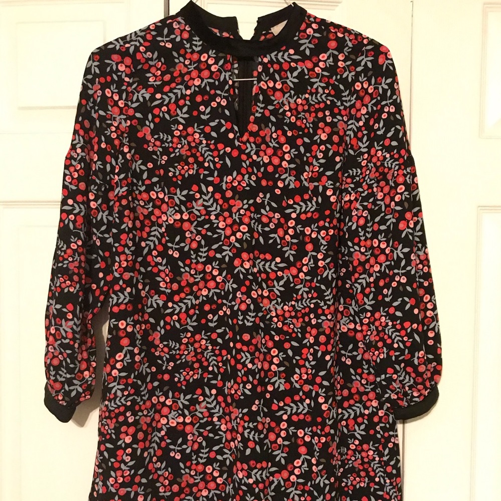NWT Ann Taylor Loft petite dress